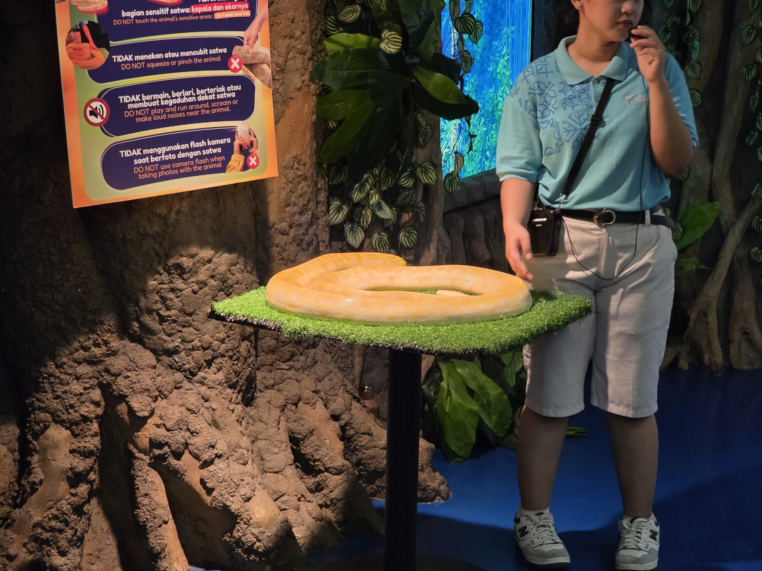 水族館で触れる蛇!