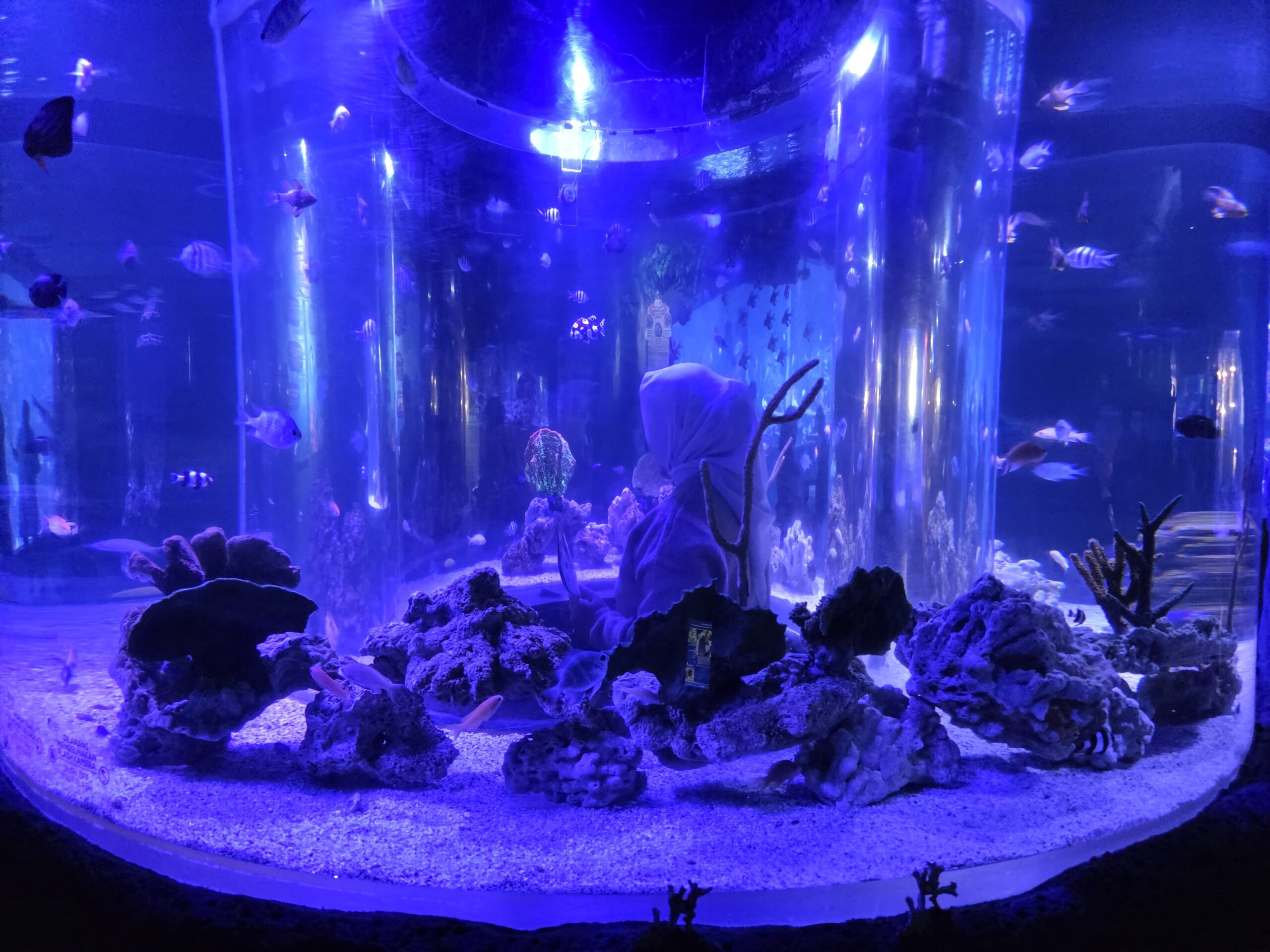 360度の水槽を楽しむことができます。